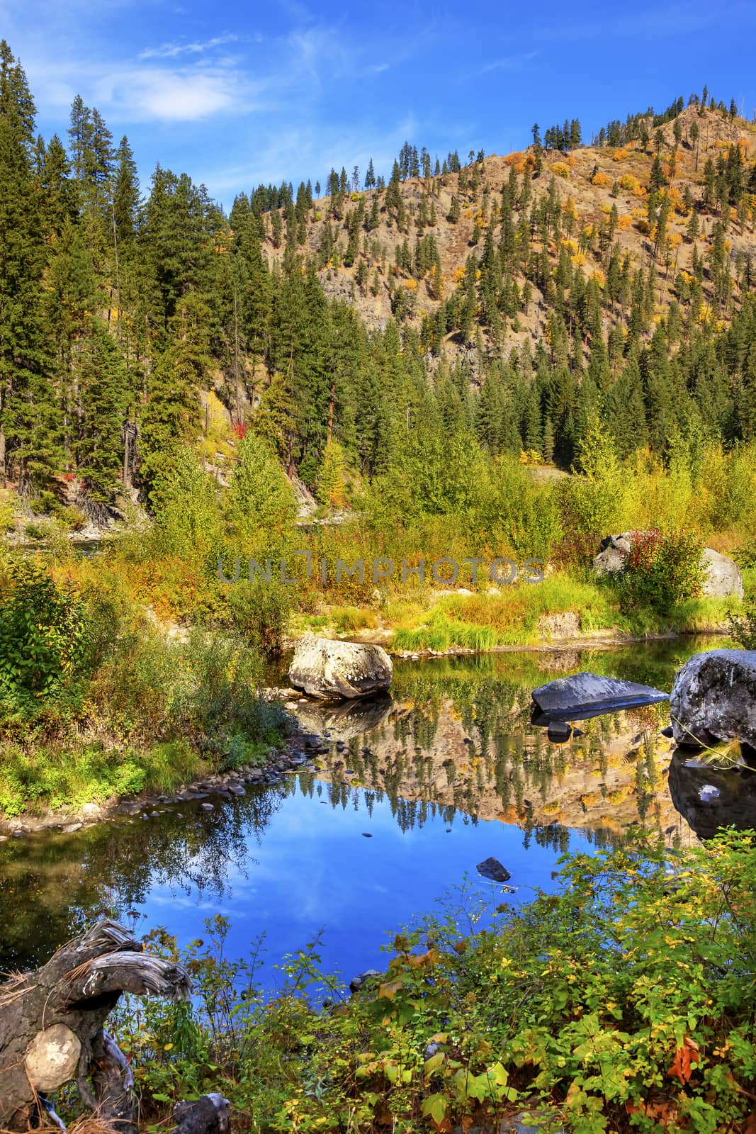 Fall Yellow Blue Green Colors Reflection Wenatchee River Washington by bill_perry