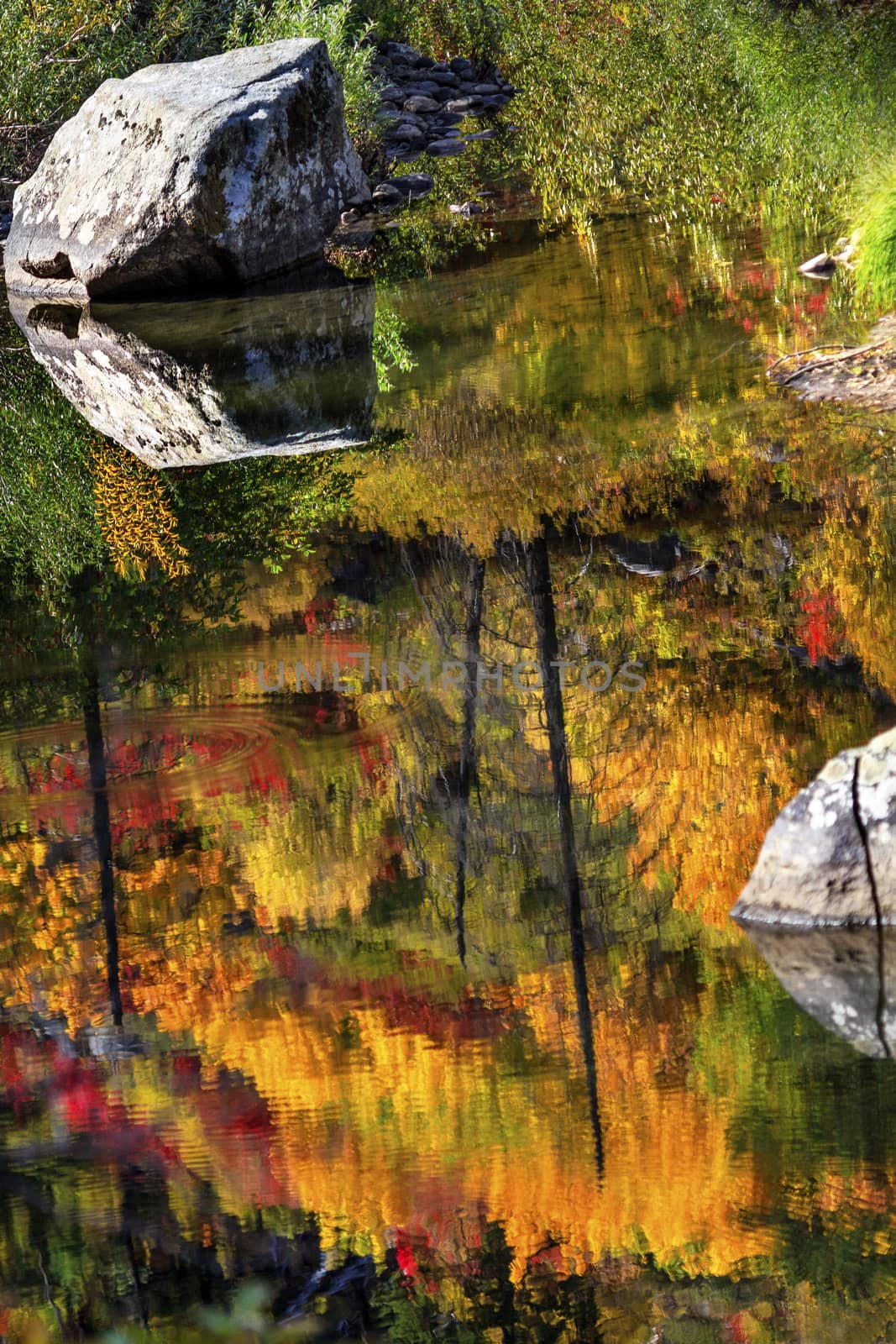 Fall Fire Orange Red Colors Reflection Wenatchee River Washington by bill_perry