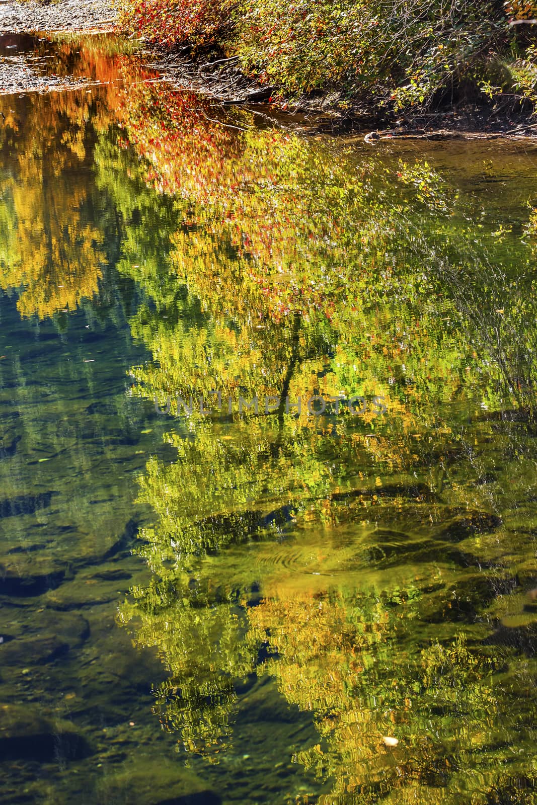 Fall Colors Reflection Wenatchee River Washington by bill_perry