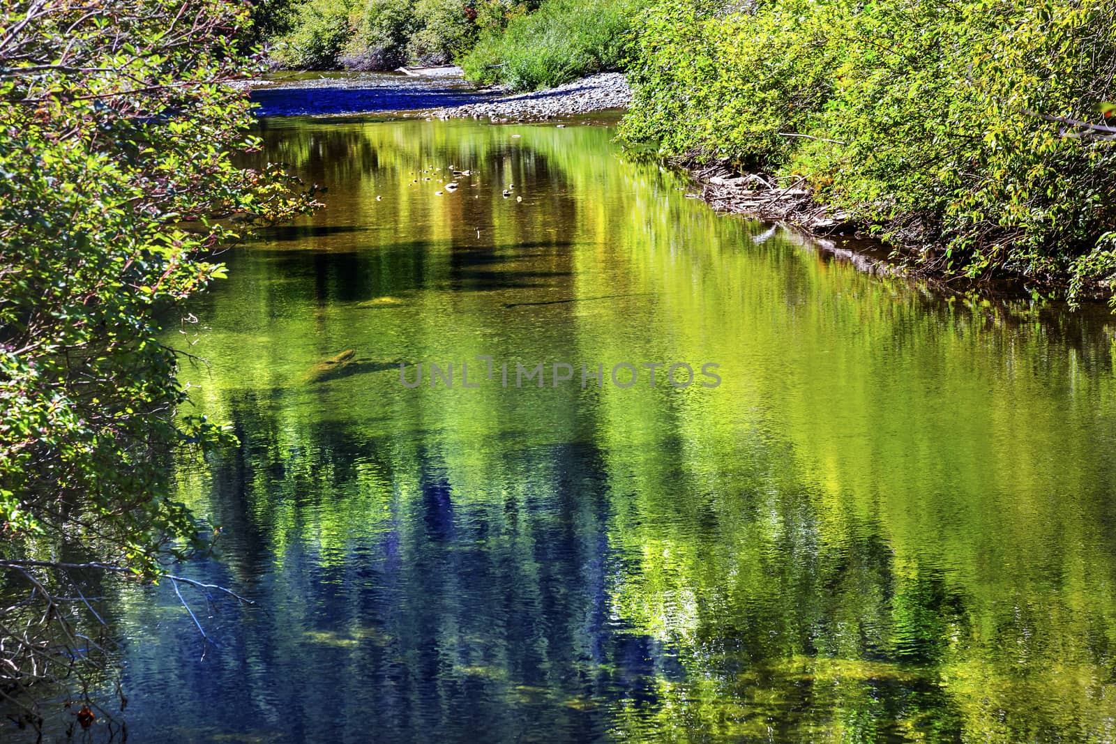 Summer Colors Green Reflection Wenatchee River Washington by bill_perry