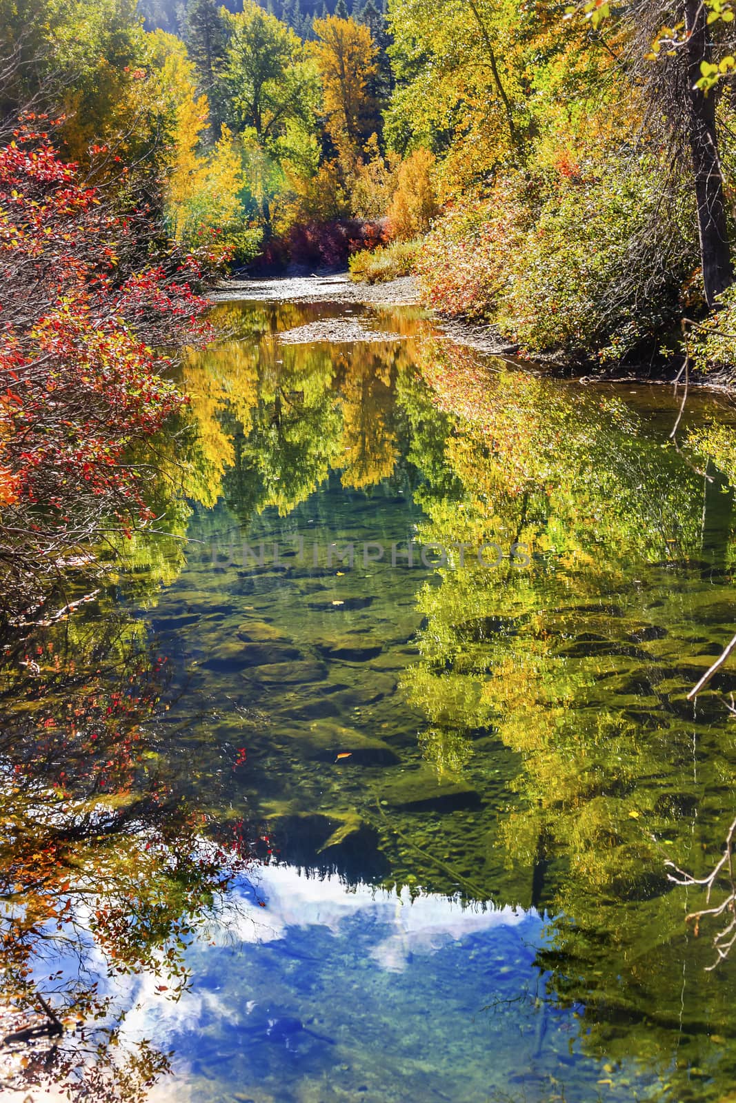 Fall Colors Reflection Wenatchee River Washington by bill_perry