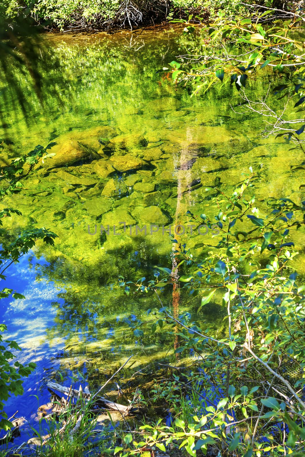 Summer Colors Green Blue Reflection Wenatchee River Washington by bill_perry