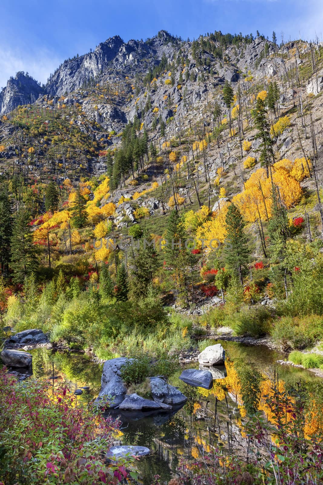 Fall Yellow Red Green Colors Reflection Wenatchee River Washington by bill_perry