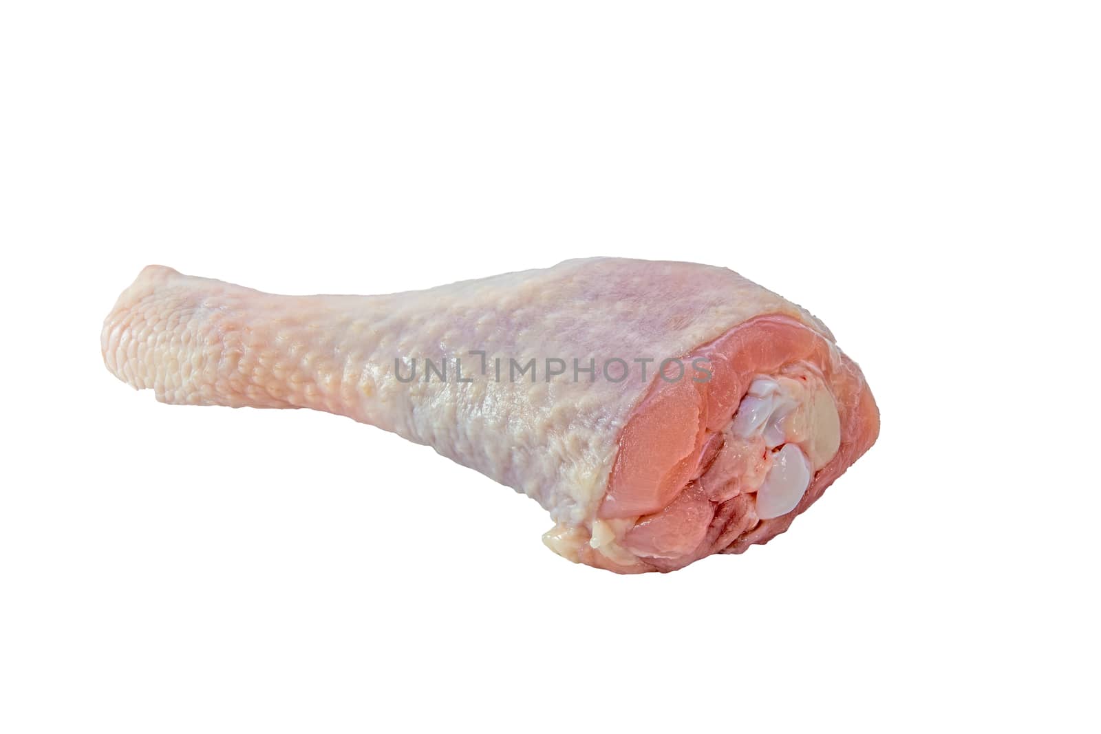 Chicken leg isolated on white background