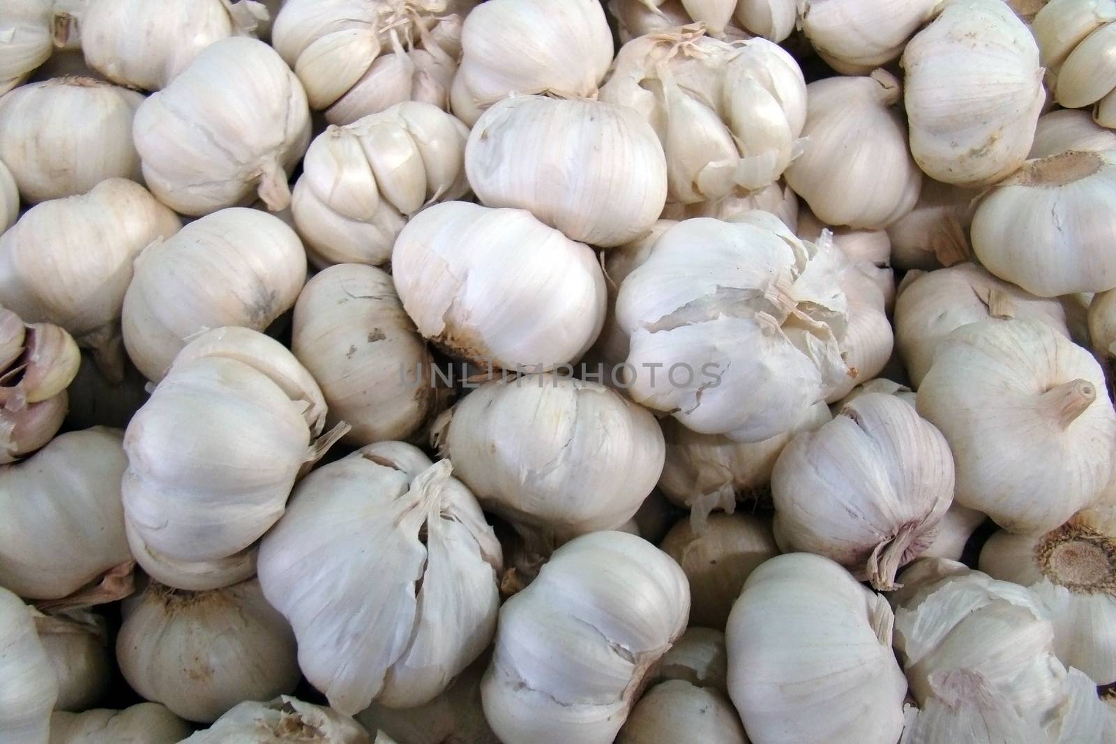 fresh garlic bulbs