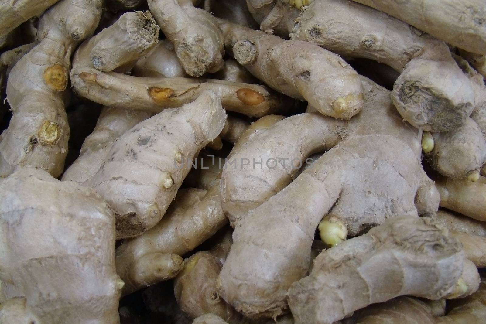 fresh ginger root by hicster