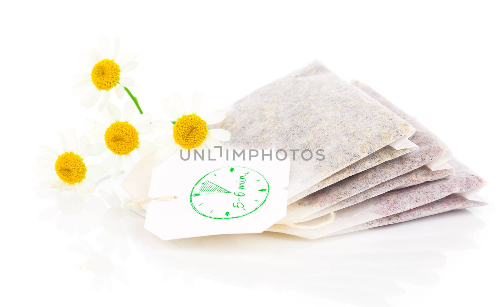 bags of chamomile tea with fresh camomile flower, isolated on white