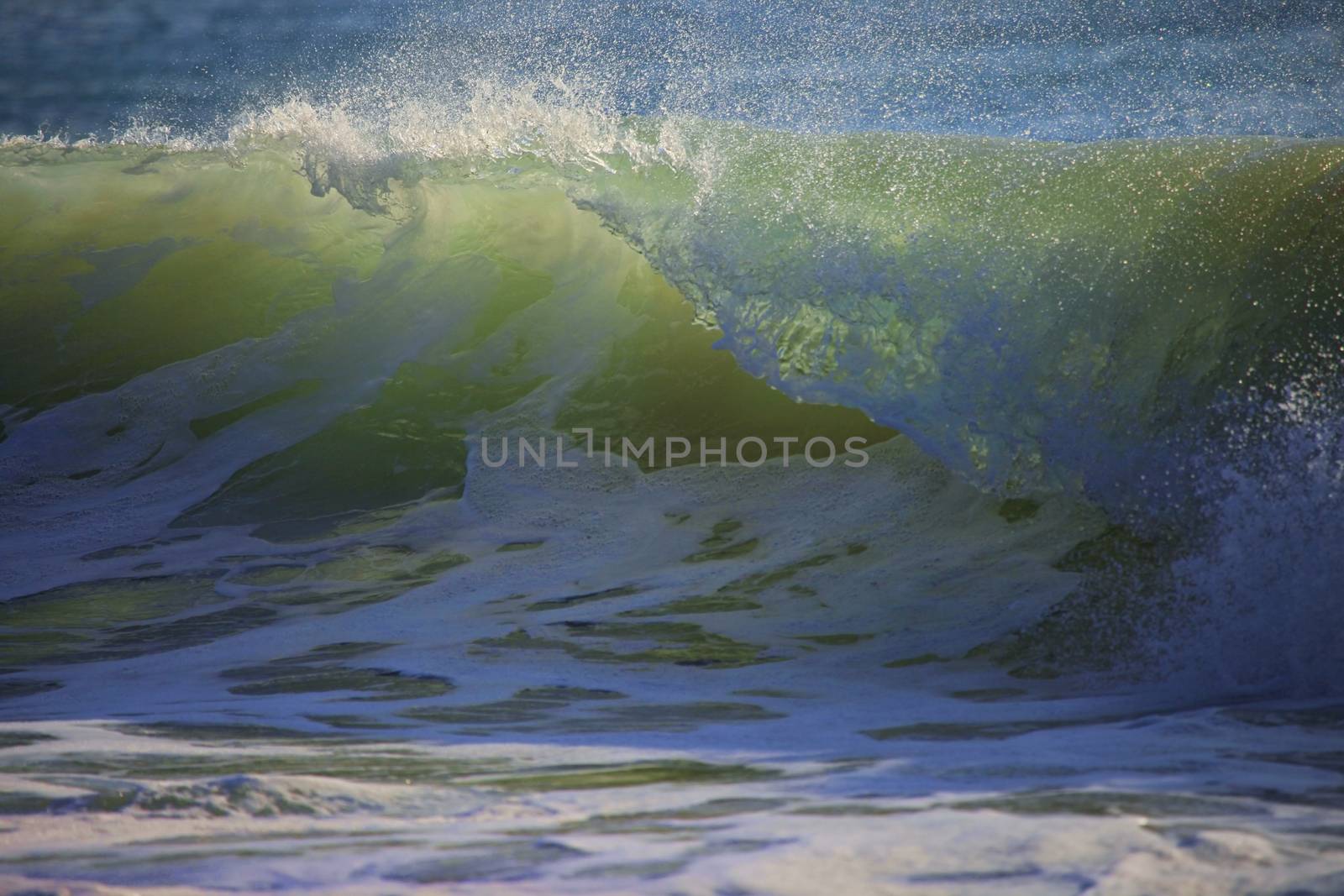 Big wave crashes on to the shore. Indian ocean