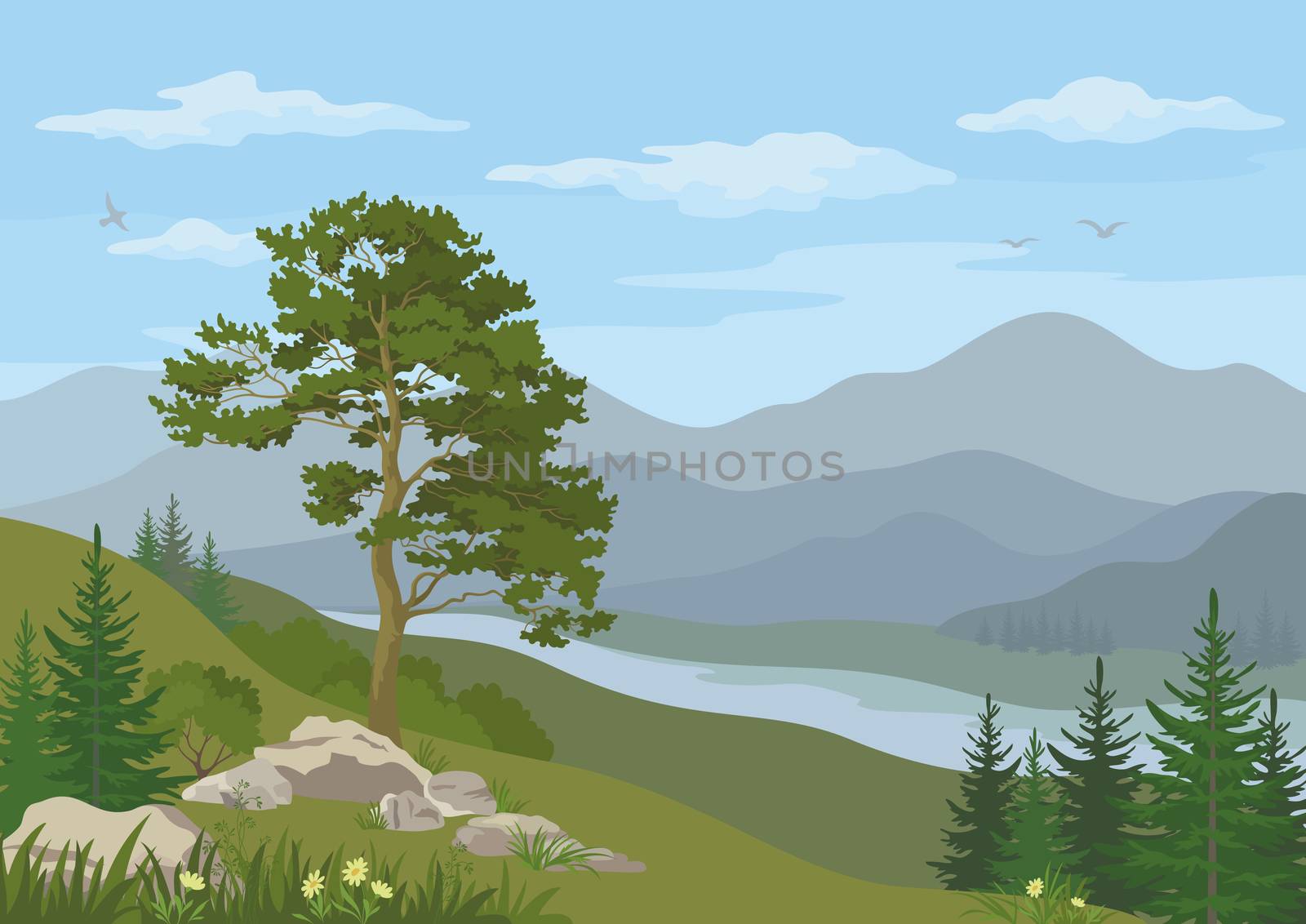 Mountain landscape with coniferous trees, river, flowers and blue cloudy sky.