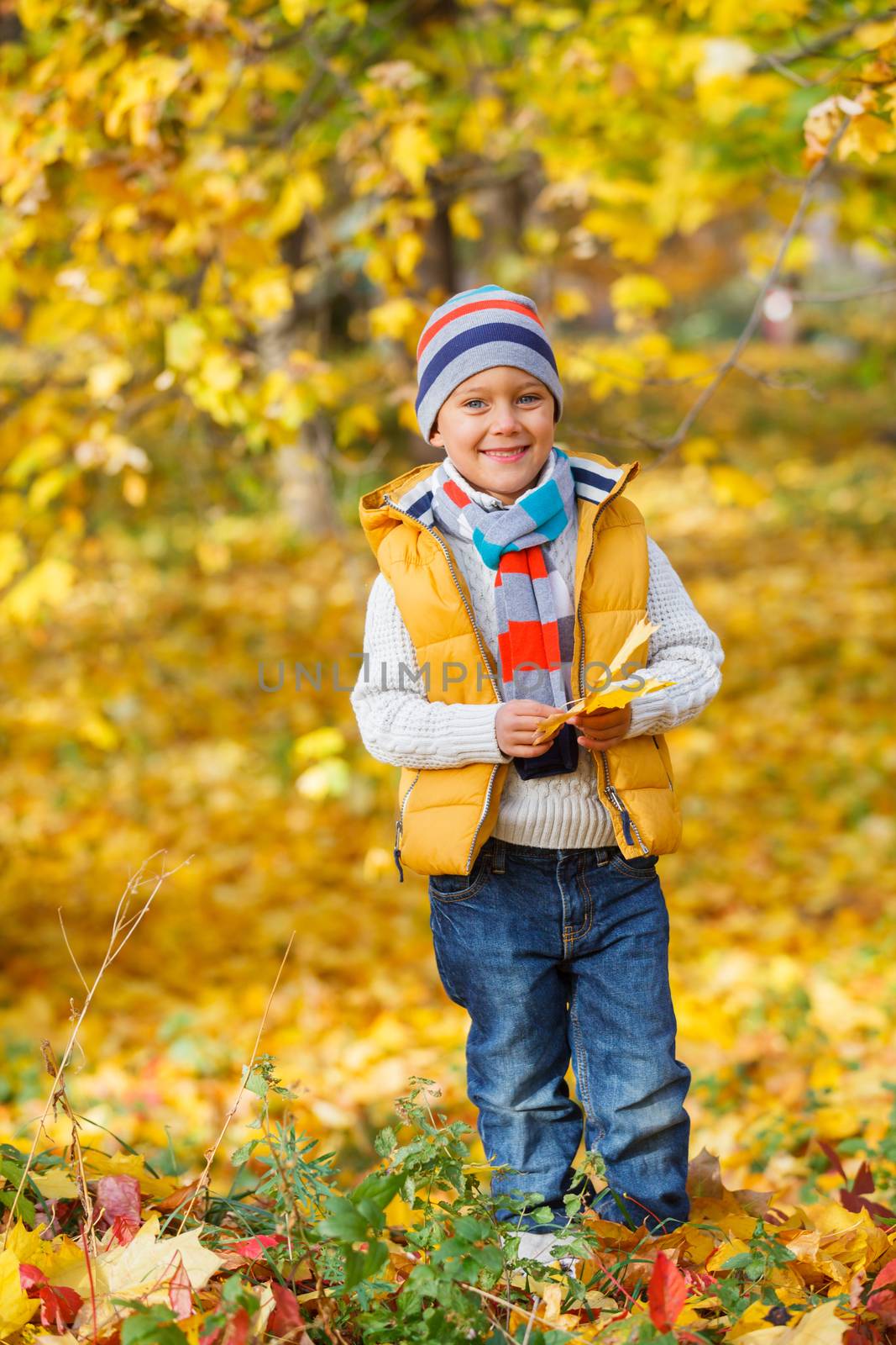 Adorable cute boy with autumn leaves in the beautiful park