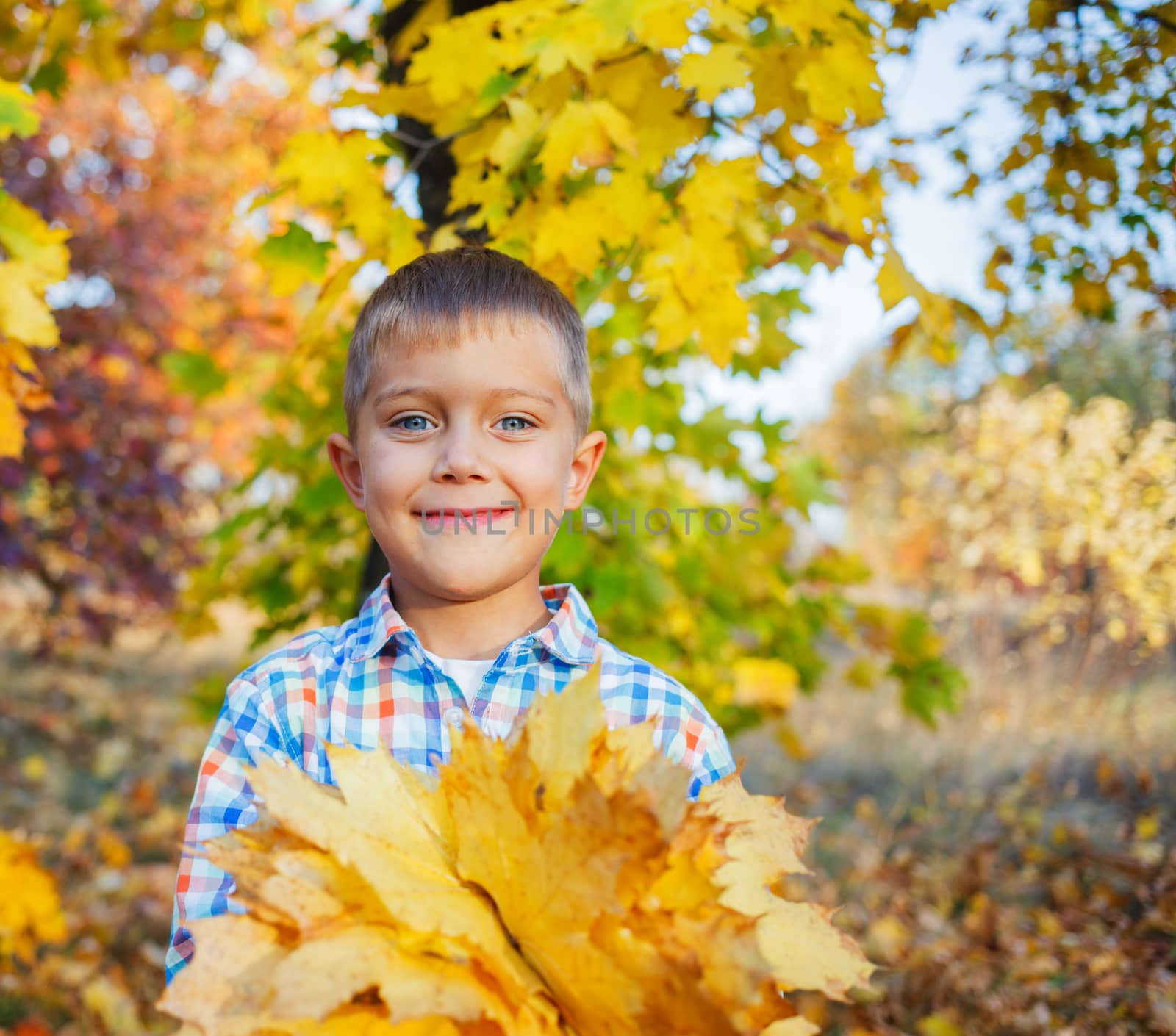 Portrait of Adorable cute boy with autumn leaves in the beautiful park