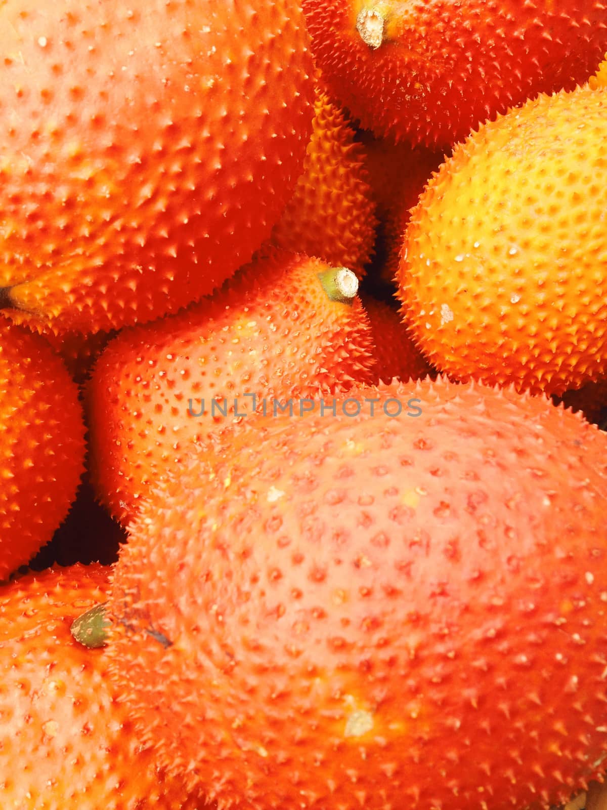 Baby Jackfruit in the market