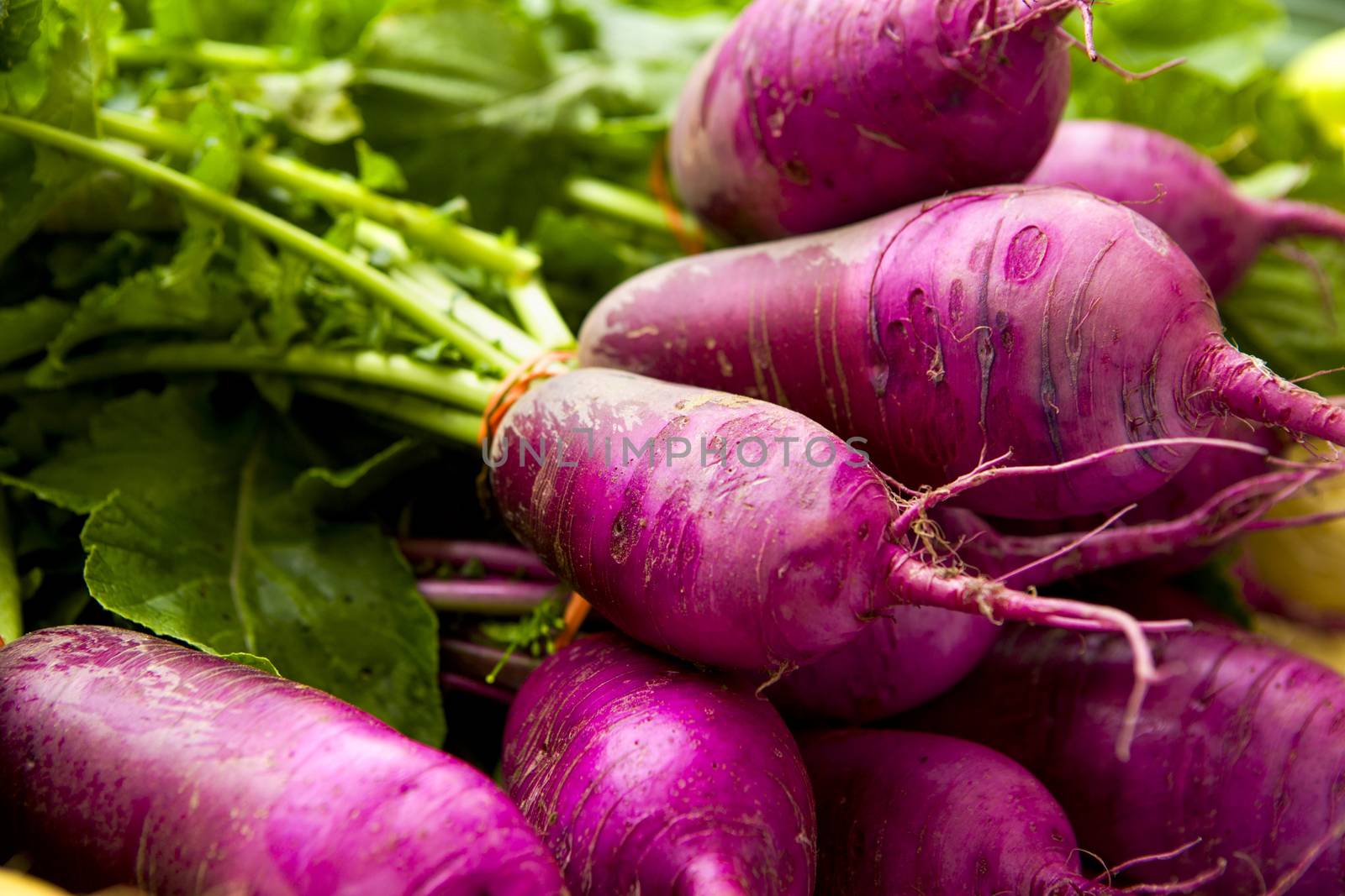 Organic turnips from a local market