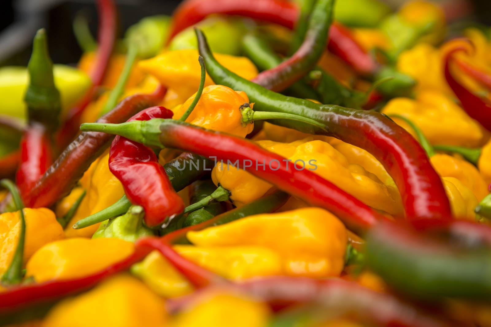 Organic peppers from a local market