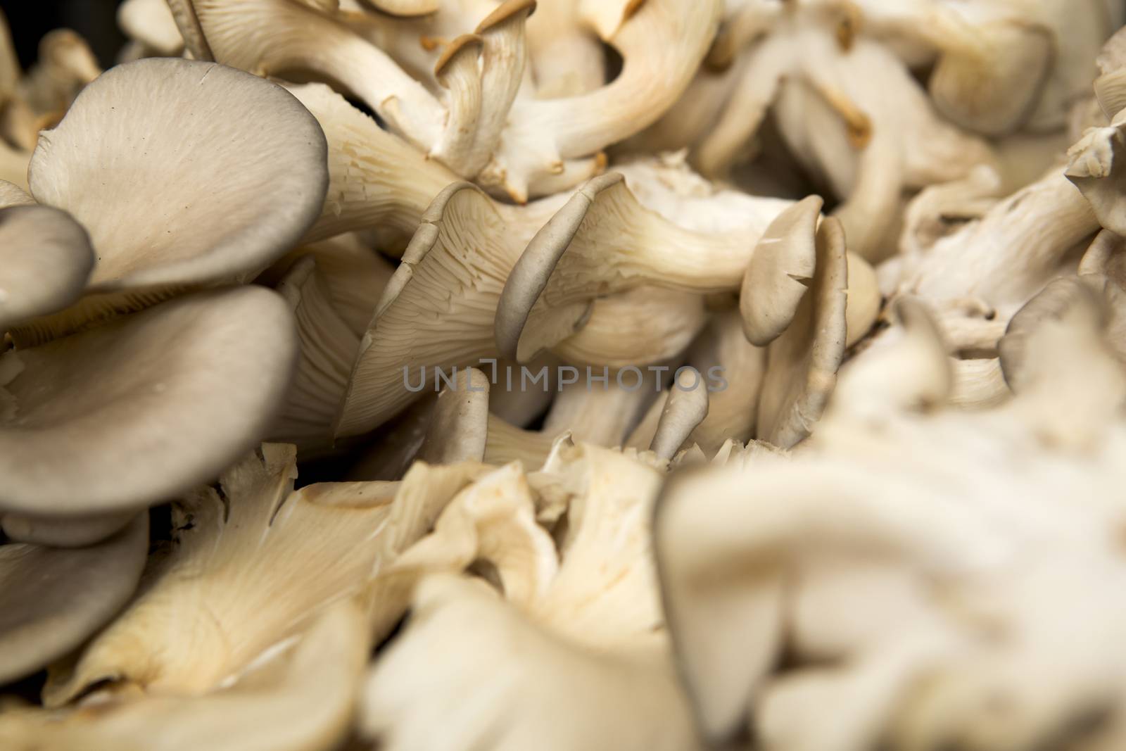 Organic mushrooms from a local market