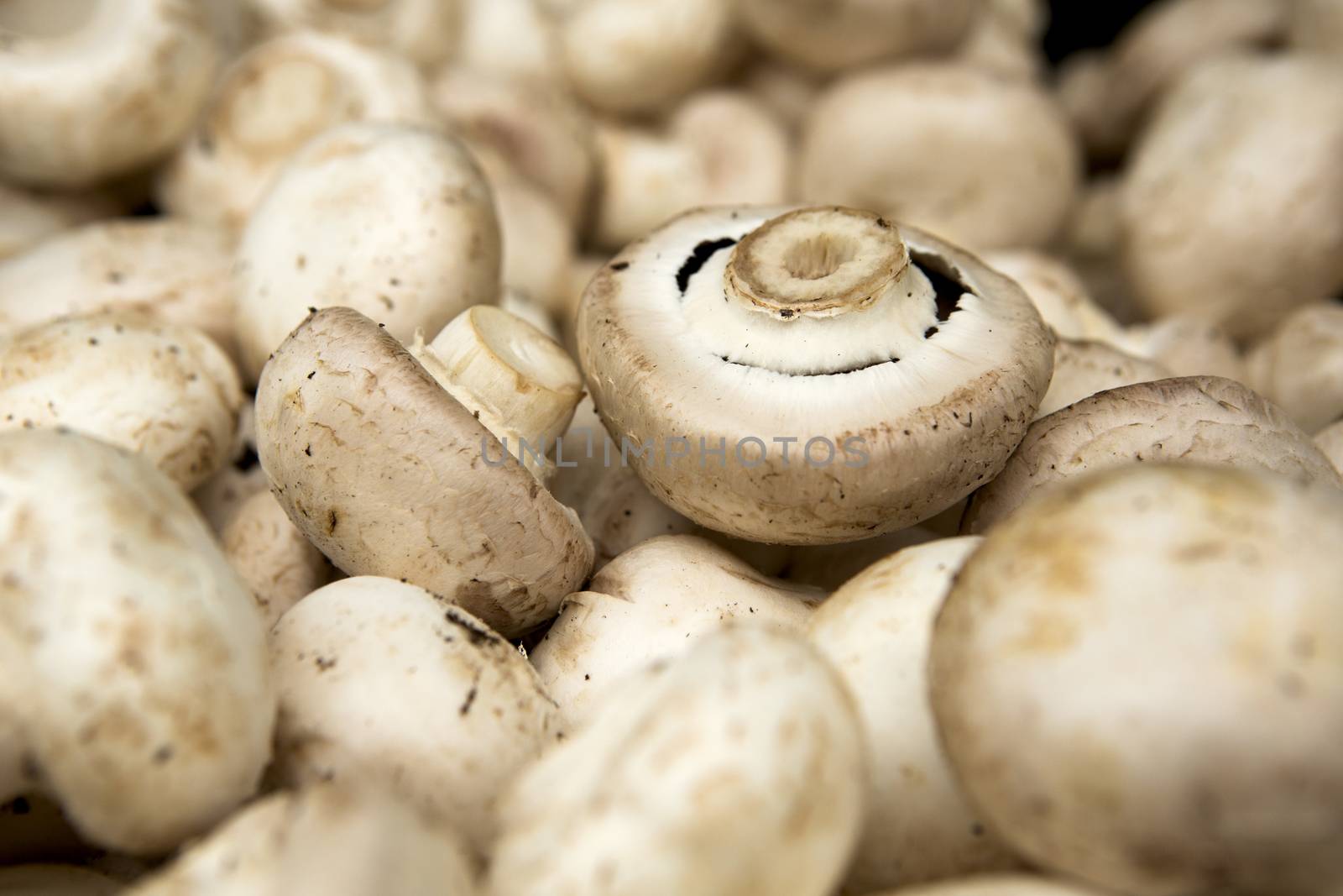 Organic mushrooms from a local market