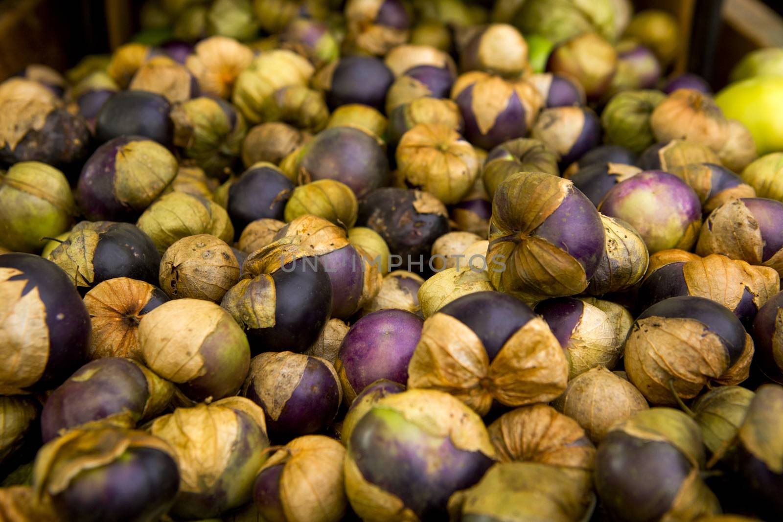 Organic tomatillos from a local market