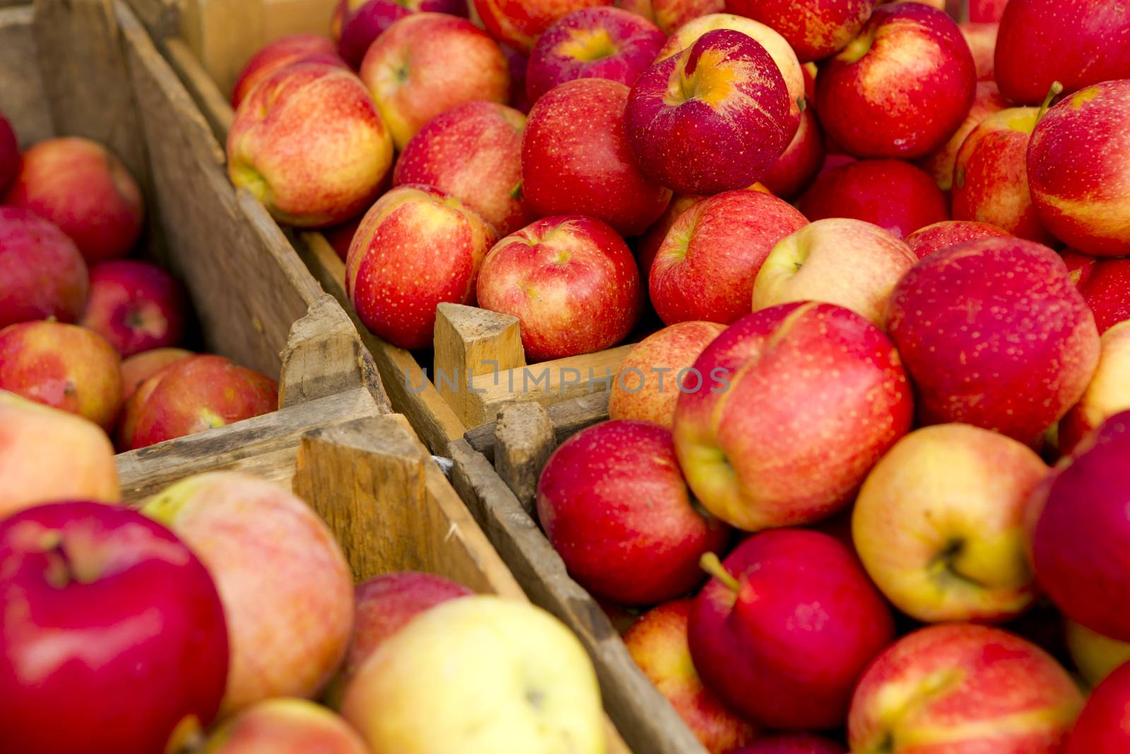 Organic Apples by Iko