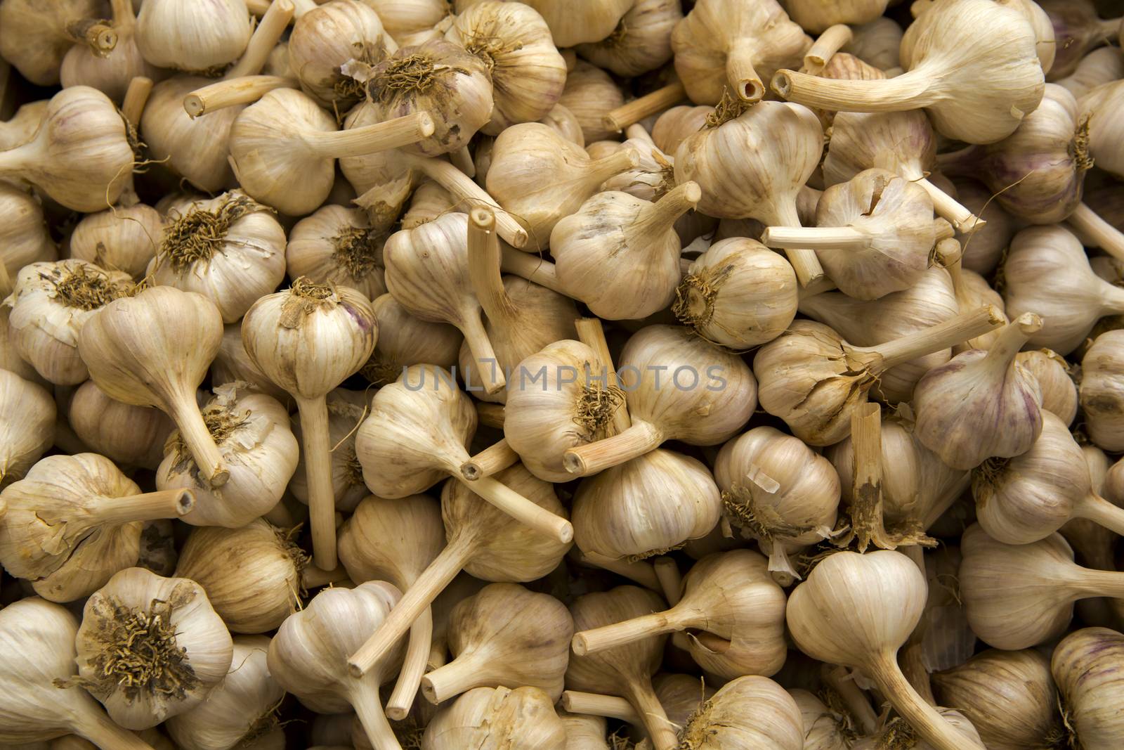 Organic garlics from a local market