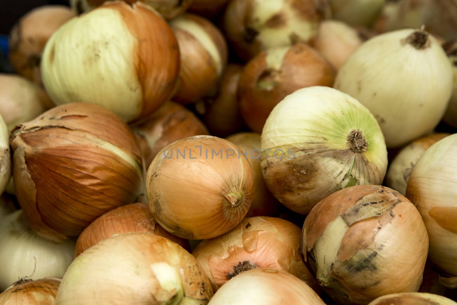 Organic onions from a local market
