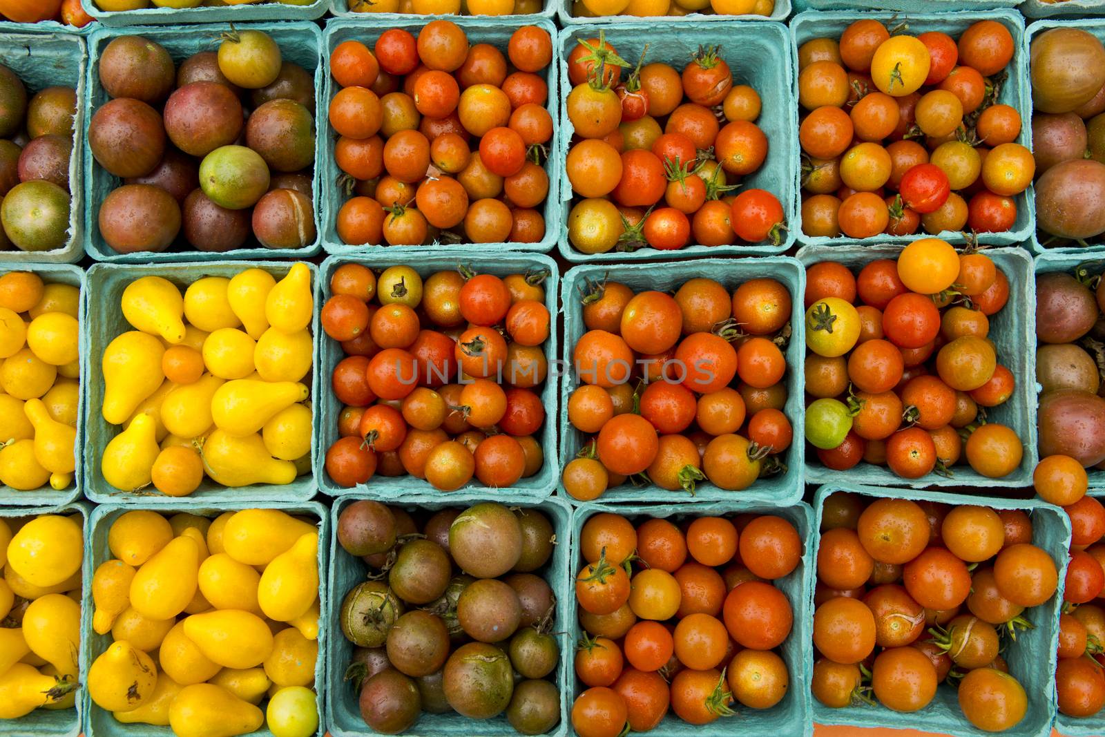 Organic Tomatoes by Iko