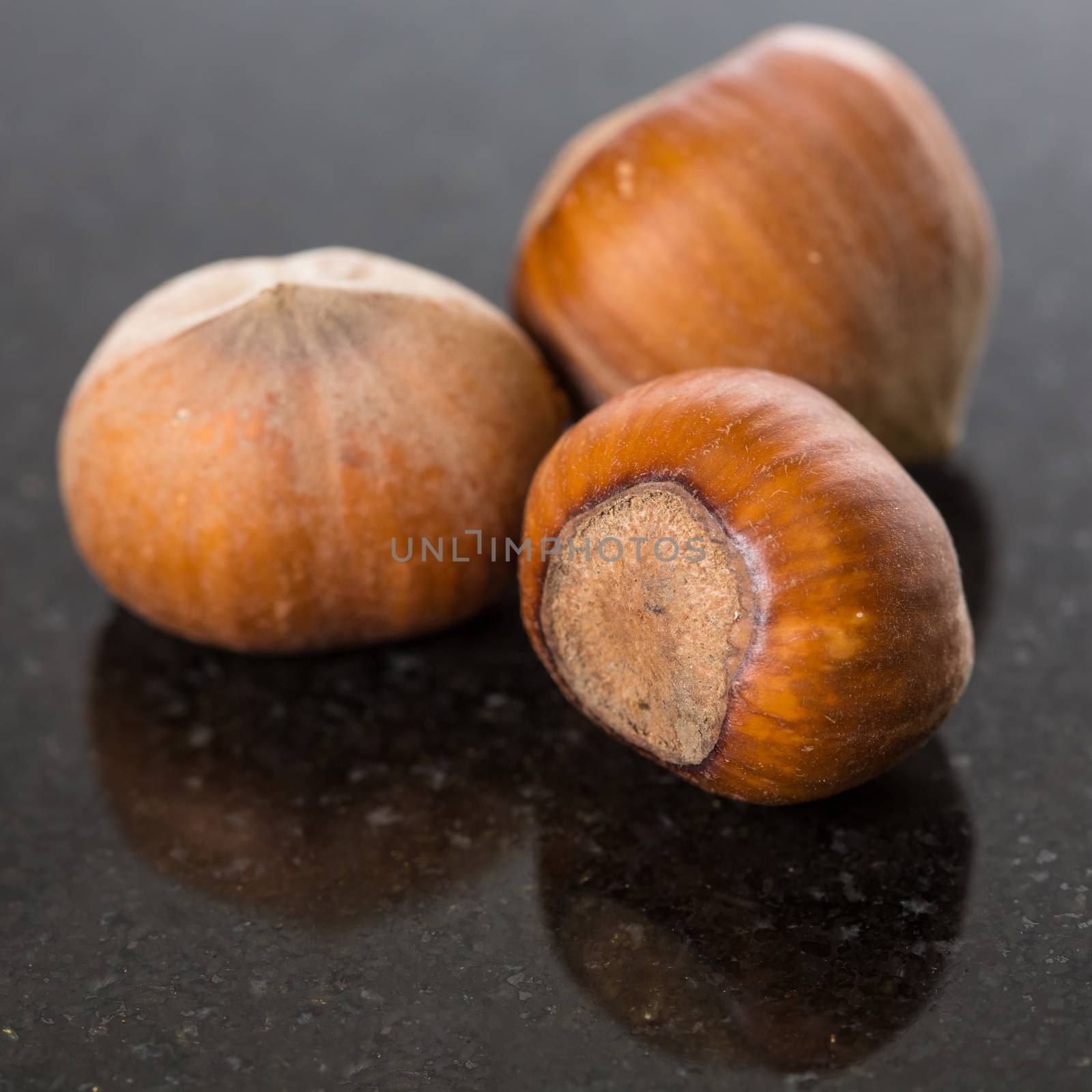Forest nuts hazelnuts on white background. Close-up