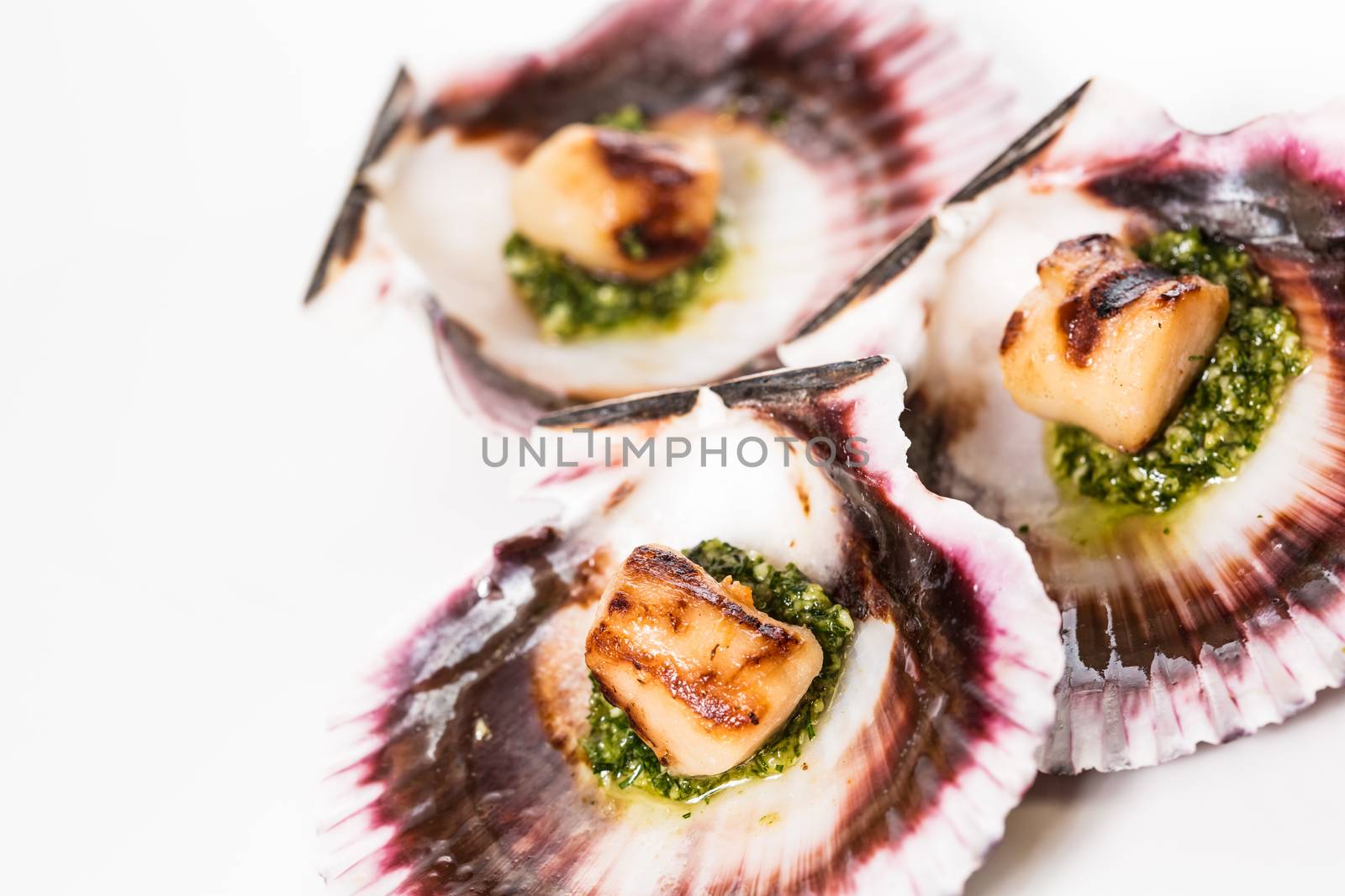 Studio closeup of seared scallops, garnished with pea shoots and served on a bed of green and purple curly lettuces, presented on a scallop shell.