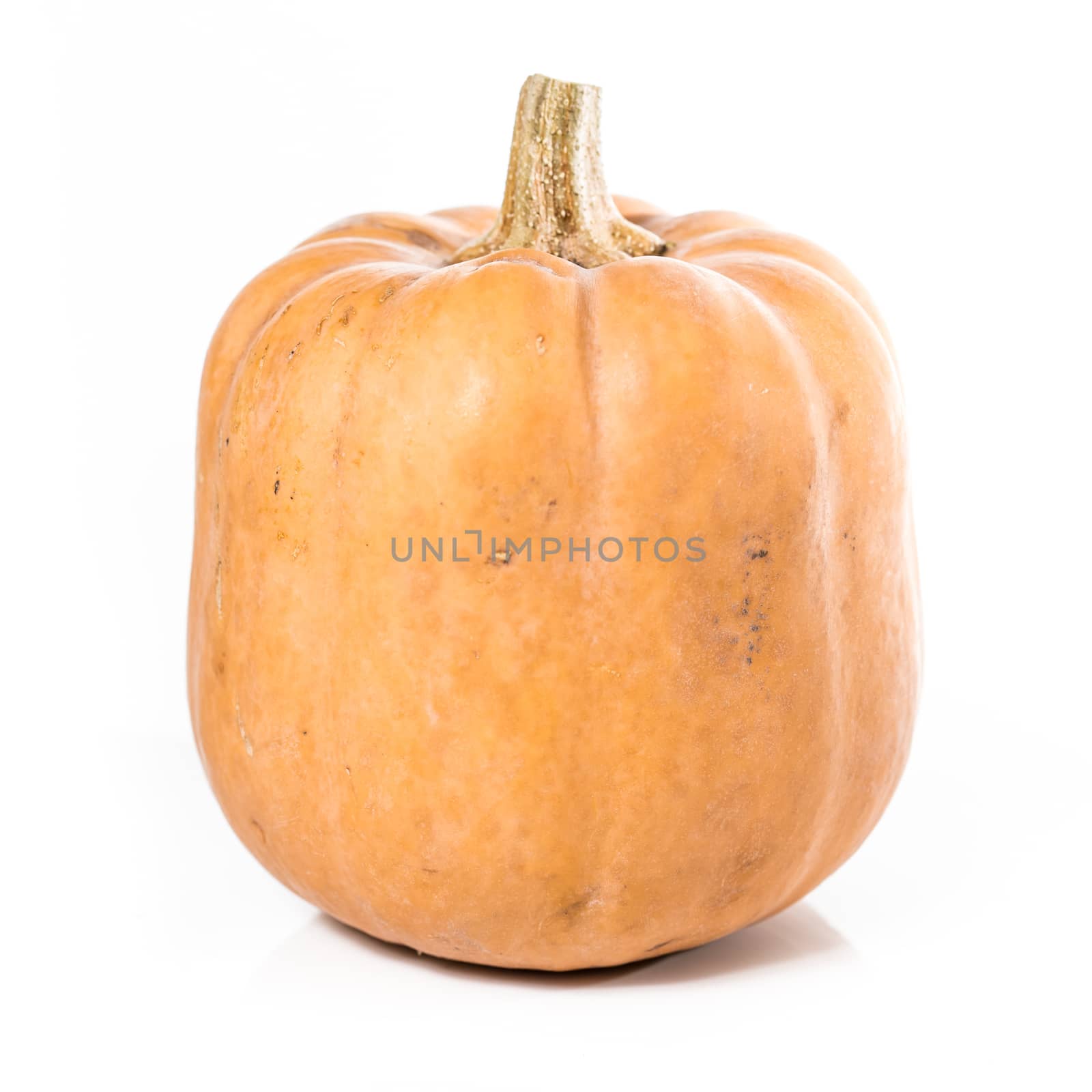 The organic pumpkin over white background. Studio shoot