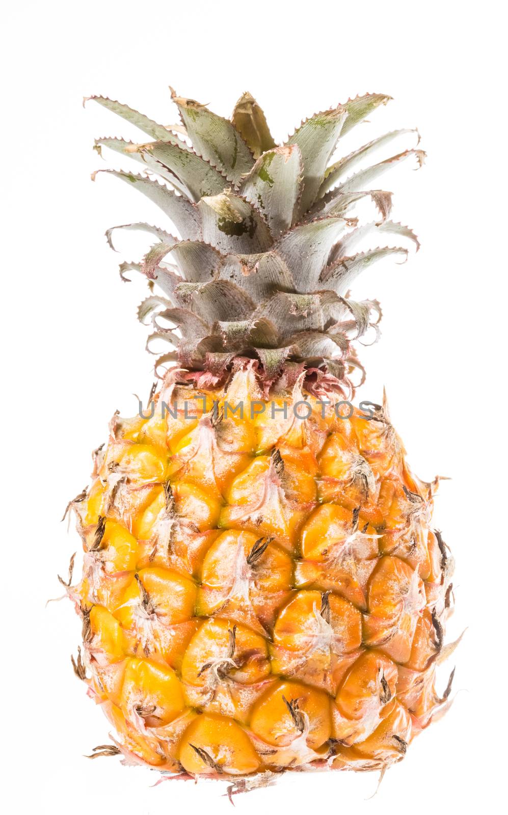 Pineapple on white background by sarymsakov