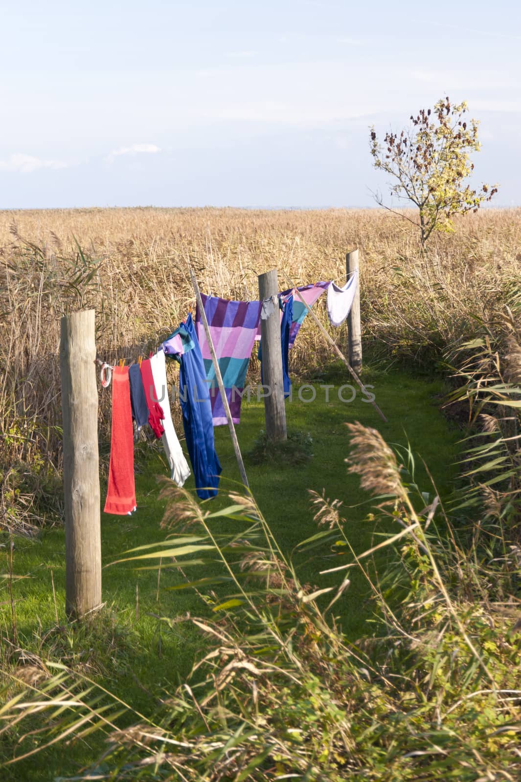 Clothes Line at the Bay of Ahrenshoop