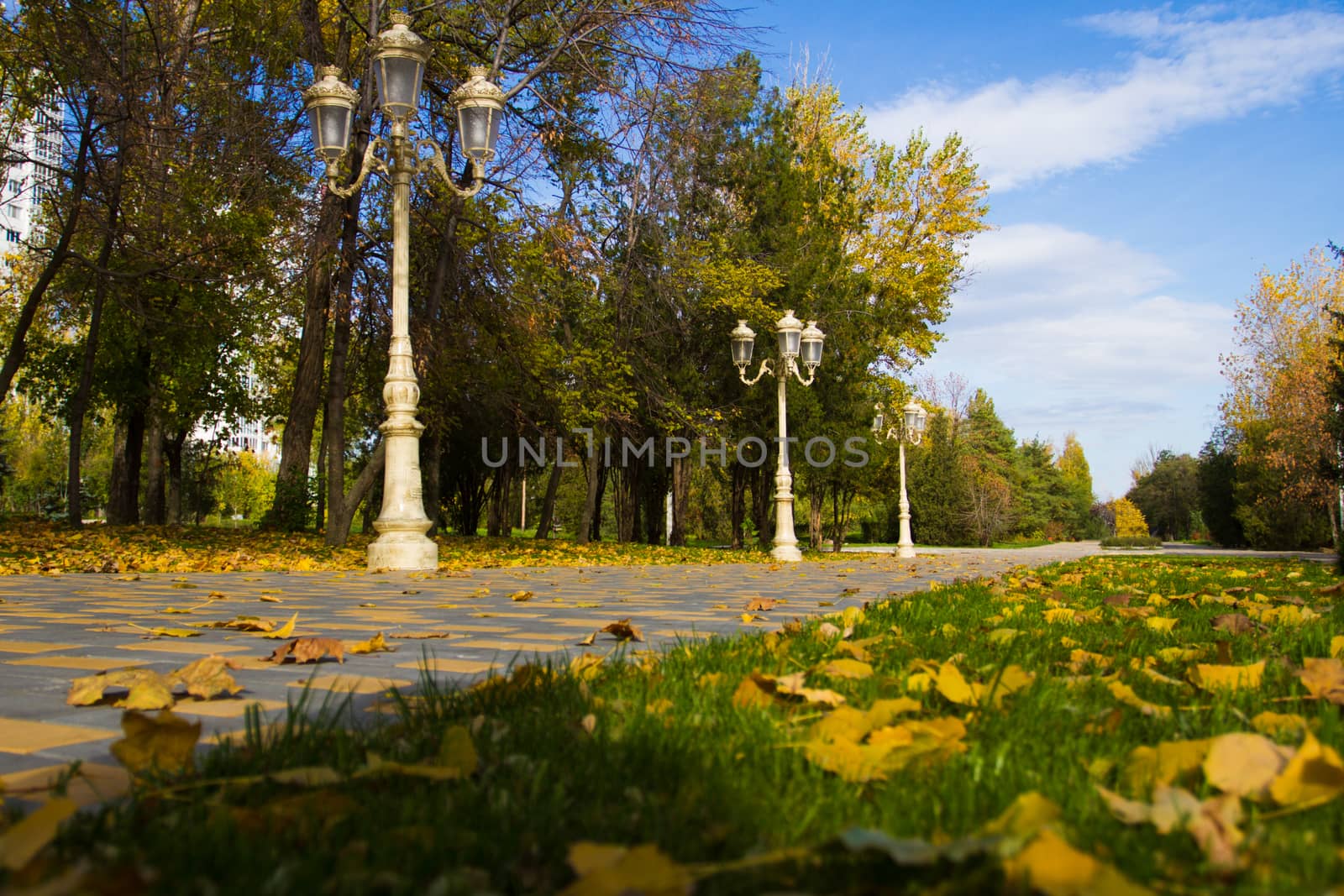 Autumn city park. Green grass, yellow foliage and blue sky - Stock Photo