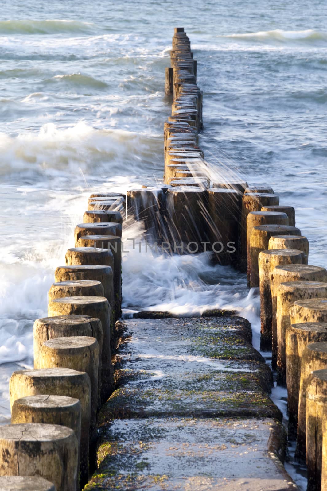 On the Beach of Ahrenshoop in Germany