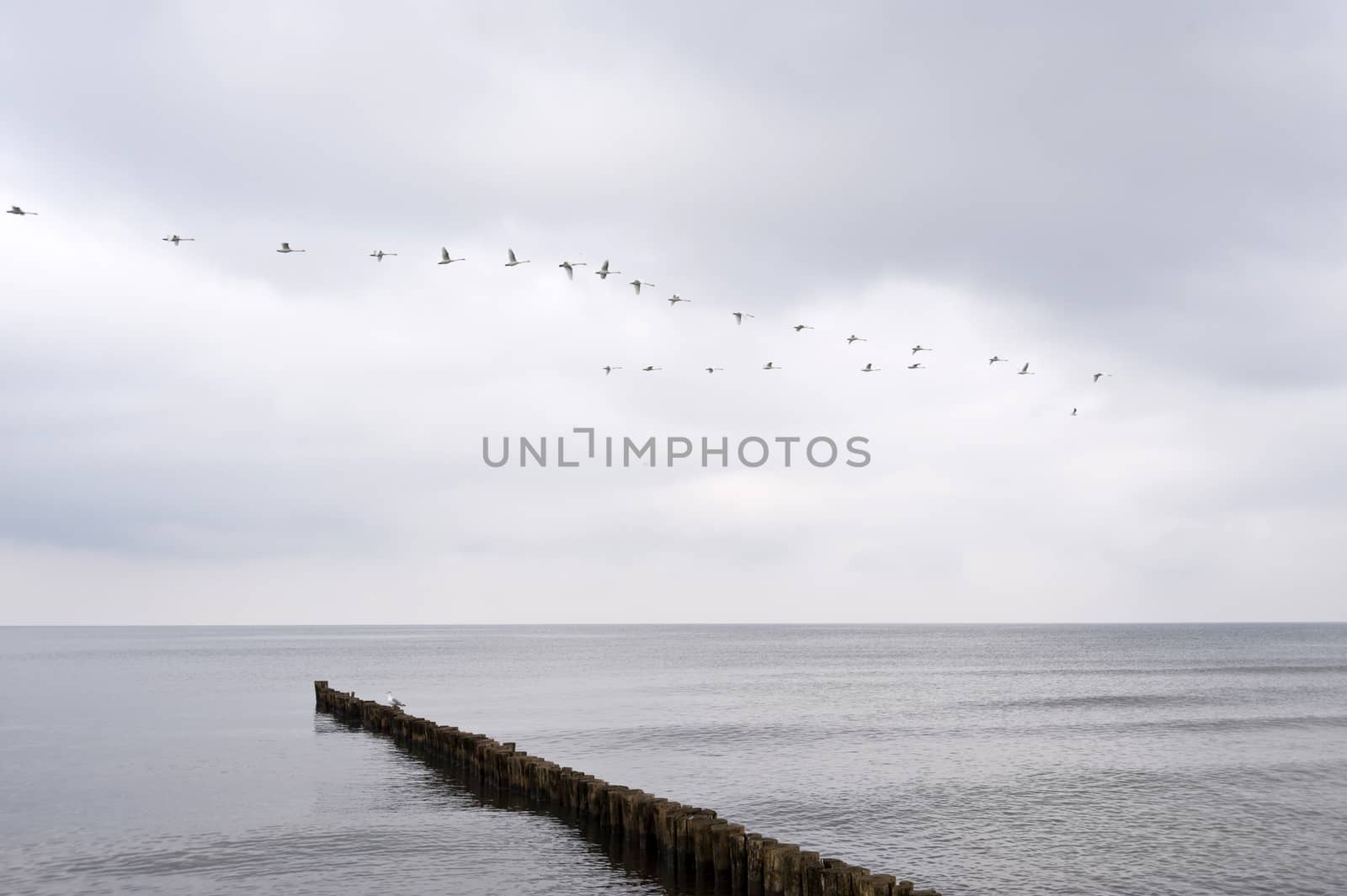 On the Beach of Ahrenshoop in Germany
