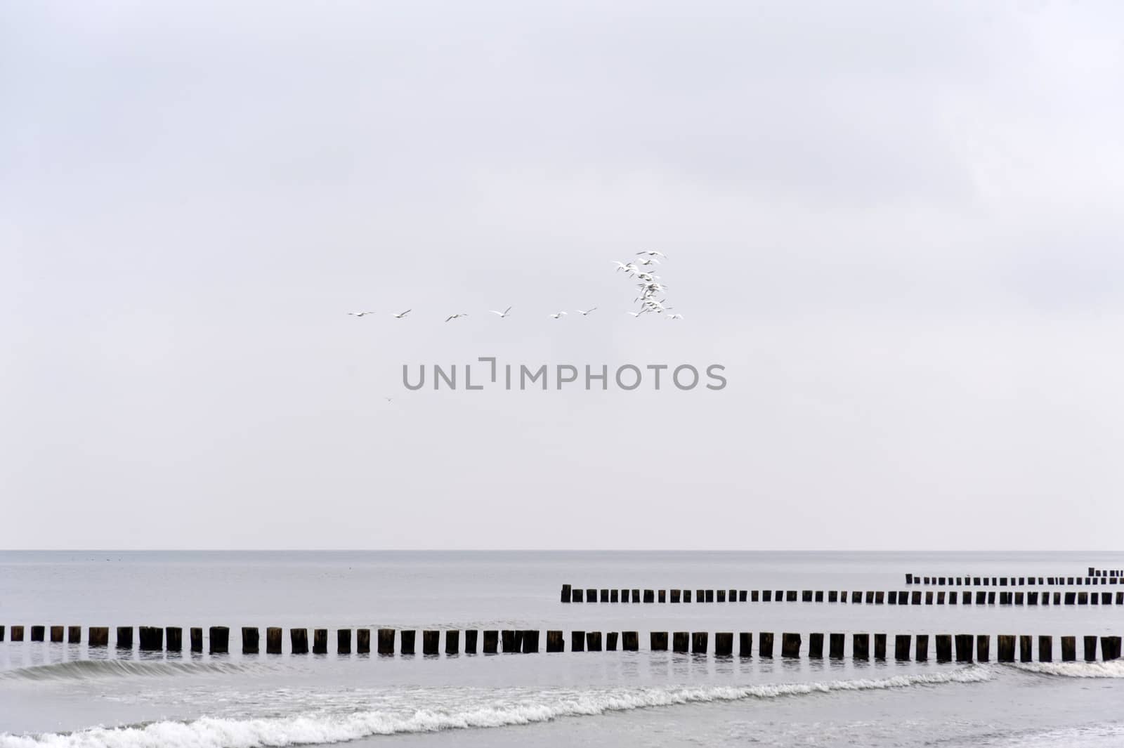 On the Beach of Ahrenshoop in Germany