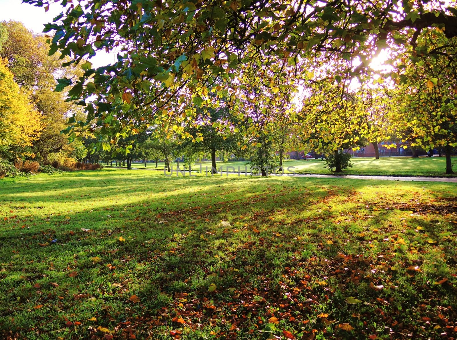 A colourful Autumn scene. by paulst