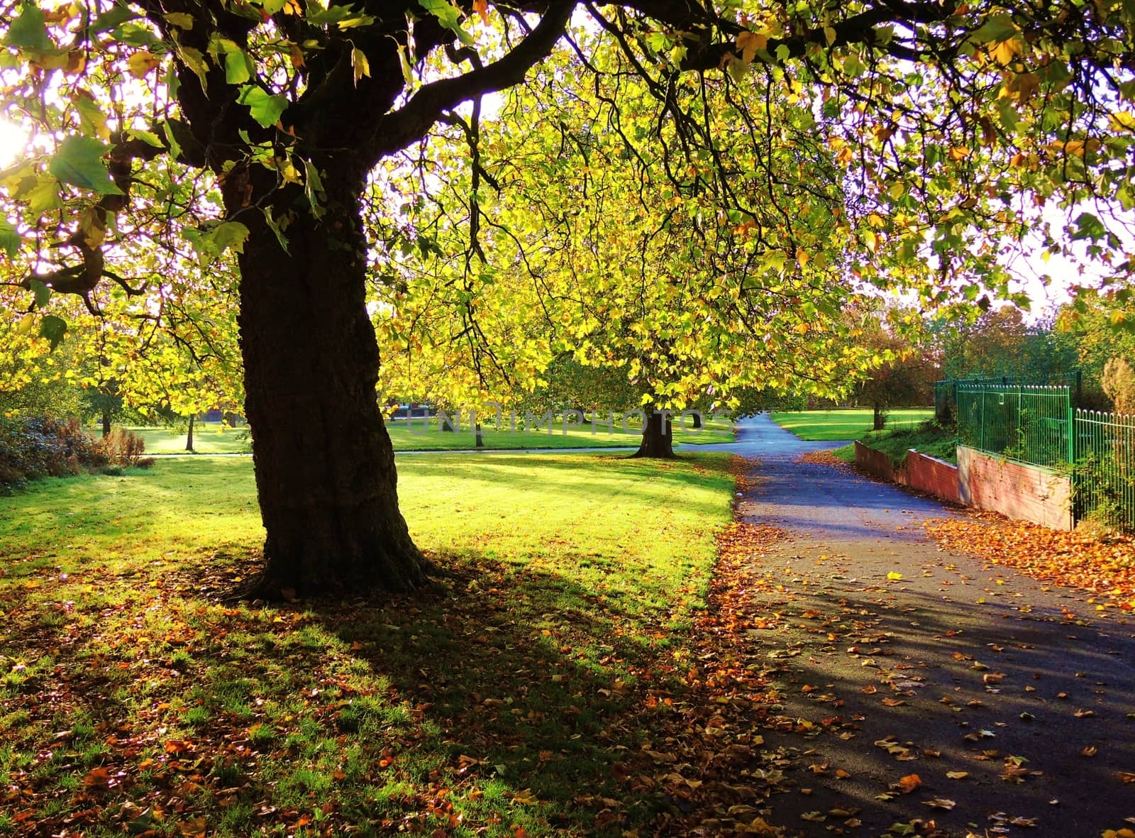 An image of a colourful Autumn landscape.