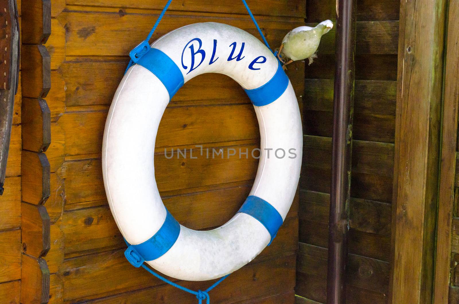 Age Blue White lifebuoy depends orphaned at a wooden hut

