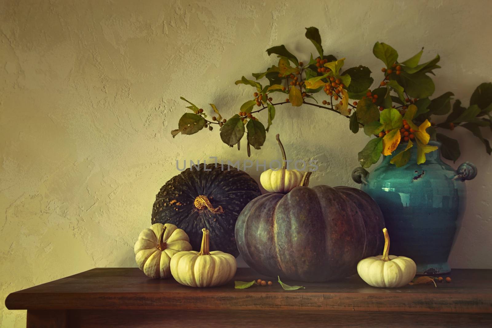 Fall pumpkins and gourds on table by Sandralise