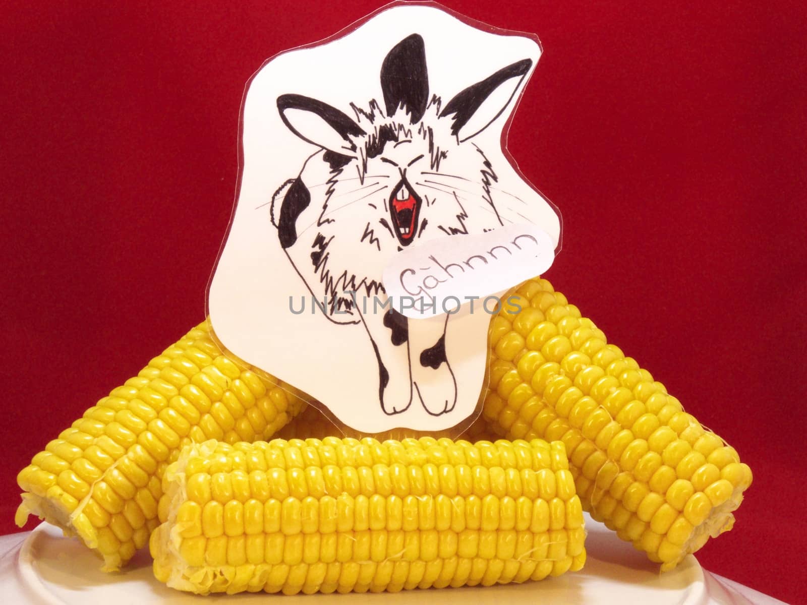 Fun, corn gene. Bunny with three ears