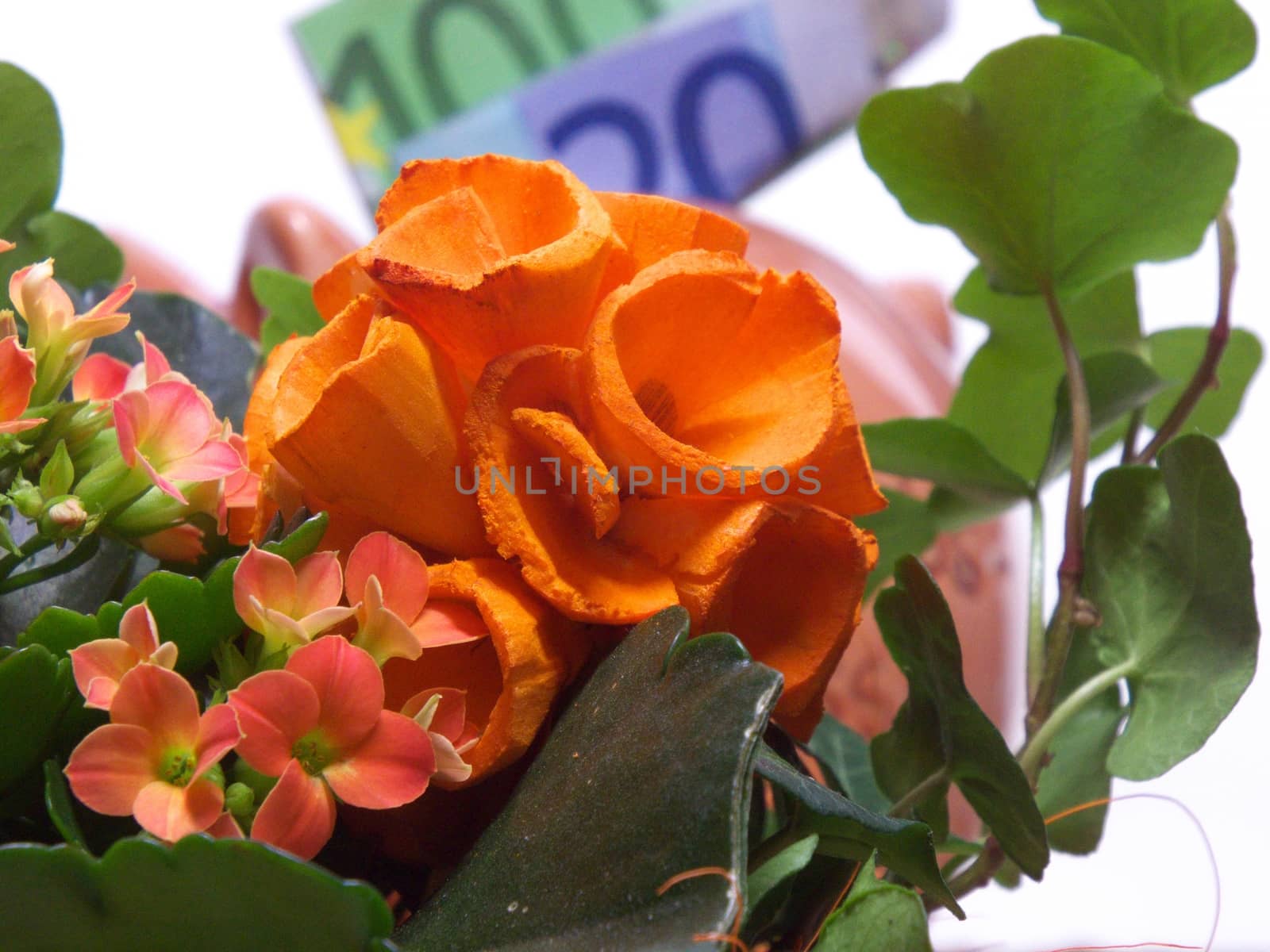 Flower Vase with money