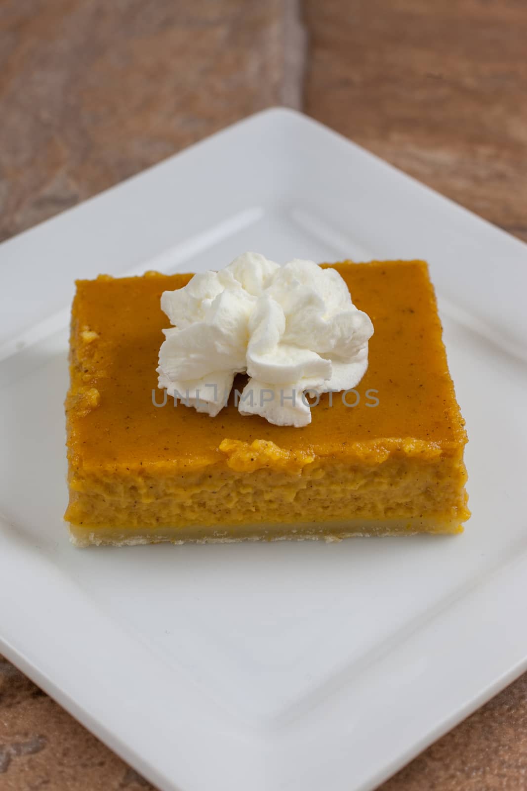 Pumpkin pie bars with fresh whipped topping.