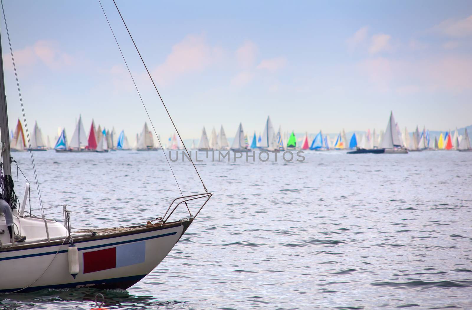 View of the 46 Barcolana regatta in Trieste sea