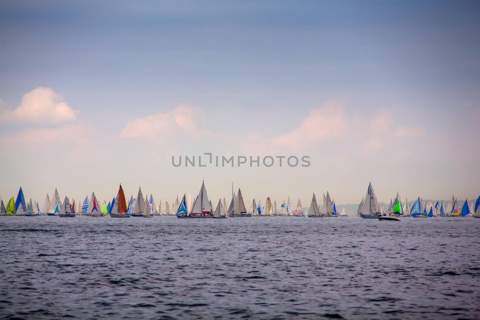 View of the 46 Barcolana regatta in Trieste sea