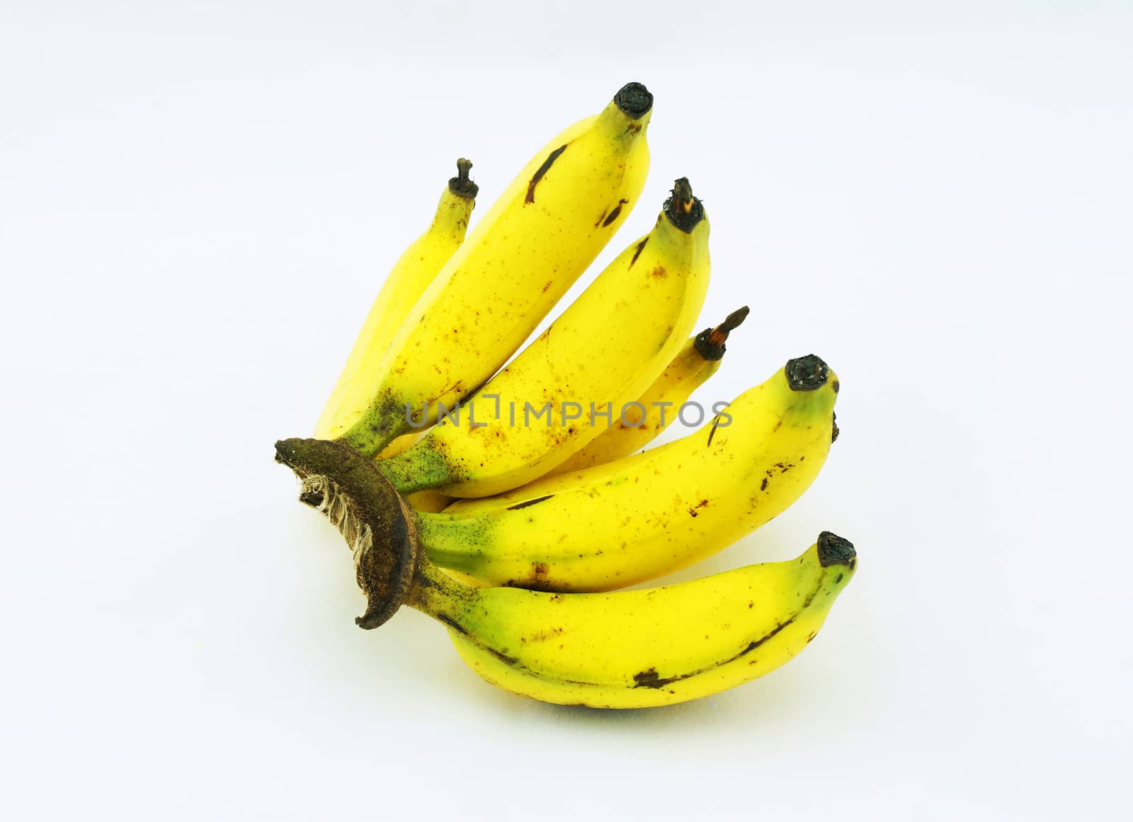 Thai banana, they are small and skinny size, yellow color, very fragrant and sweet taste.                               