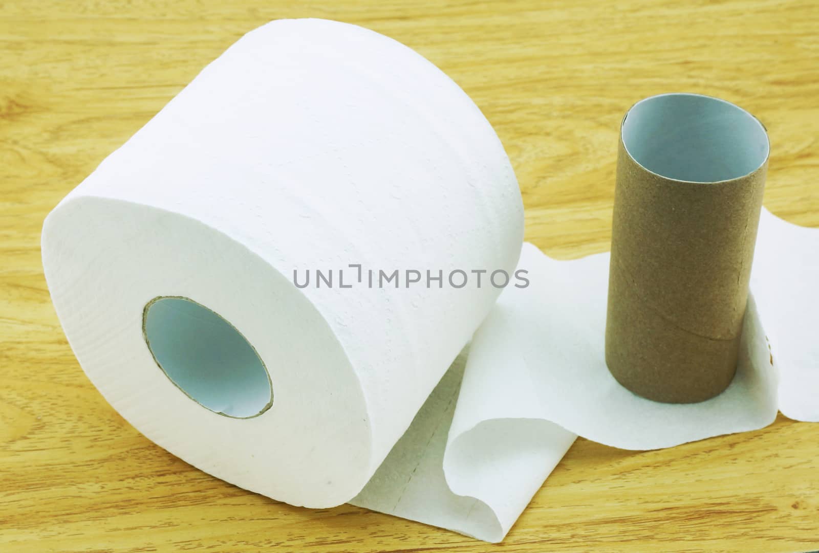 Toilet paper by ninun