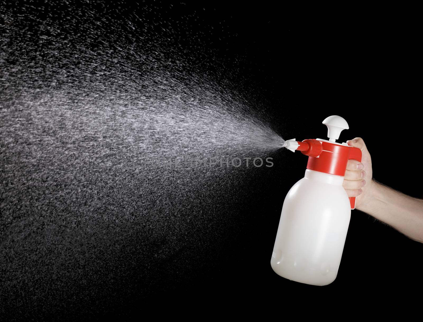 Liquid spraying from a pump sprayer.