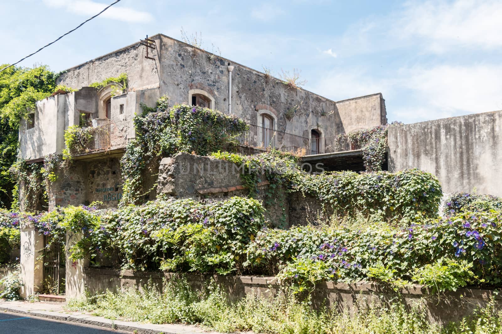 Old house covered with vegetation