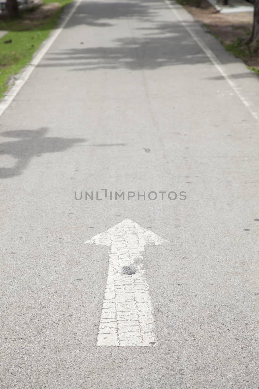 Directional arrow on the road. Path around park Road straight ahead.