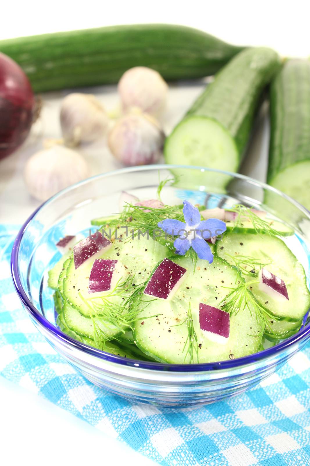 Cucumber salad with onions, dill and borage flower on a light background