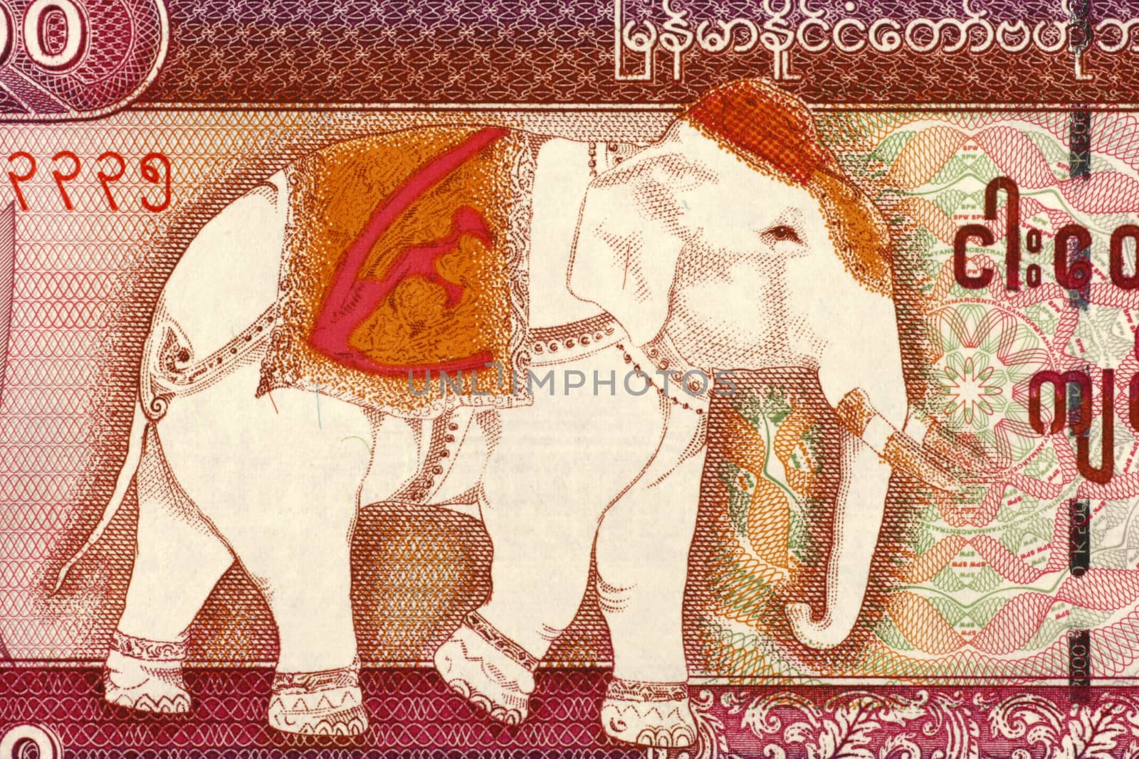 Elephant on 5000 Kyat 2009 Banknote from Myanmar.